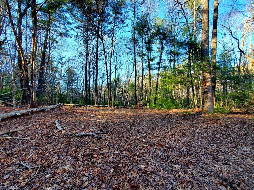 1373 Fisher Valley Road Dobson, NC 27017 - Photo 19 of 44 Gallery Image 19