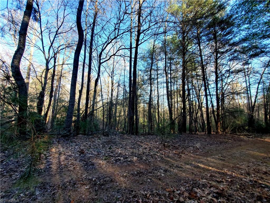 1373 Fisher Valley Road Dobson, NC 27017 - Photo 20 of 44 Gallery Image 20