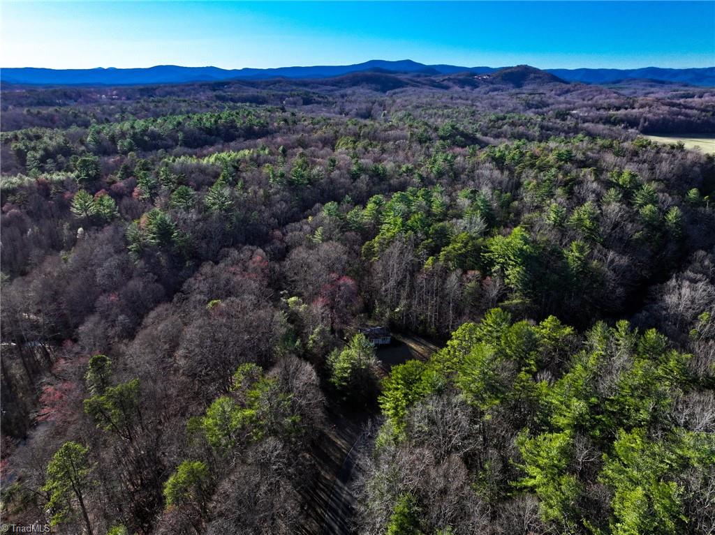 1373 Fisher Valley Road Dobson, NC 27017 - Photo 2 of 44 Gallery Image 2