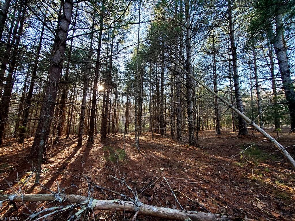 1373 Fisher Valley Road Dobson, NC 27017 - Photo 21 of 44 Gallery Image 21