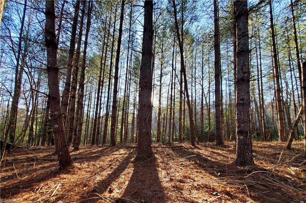 1373 Fisher Valley Road Dobson, NC 27017 - Photo 22 of 44 Gallery Image 22