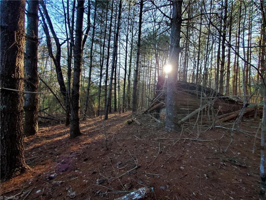 1373 Fisher Valley Road Dobson, NC 27017 - Photo 23 of 44 Gallery Image 23