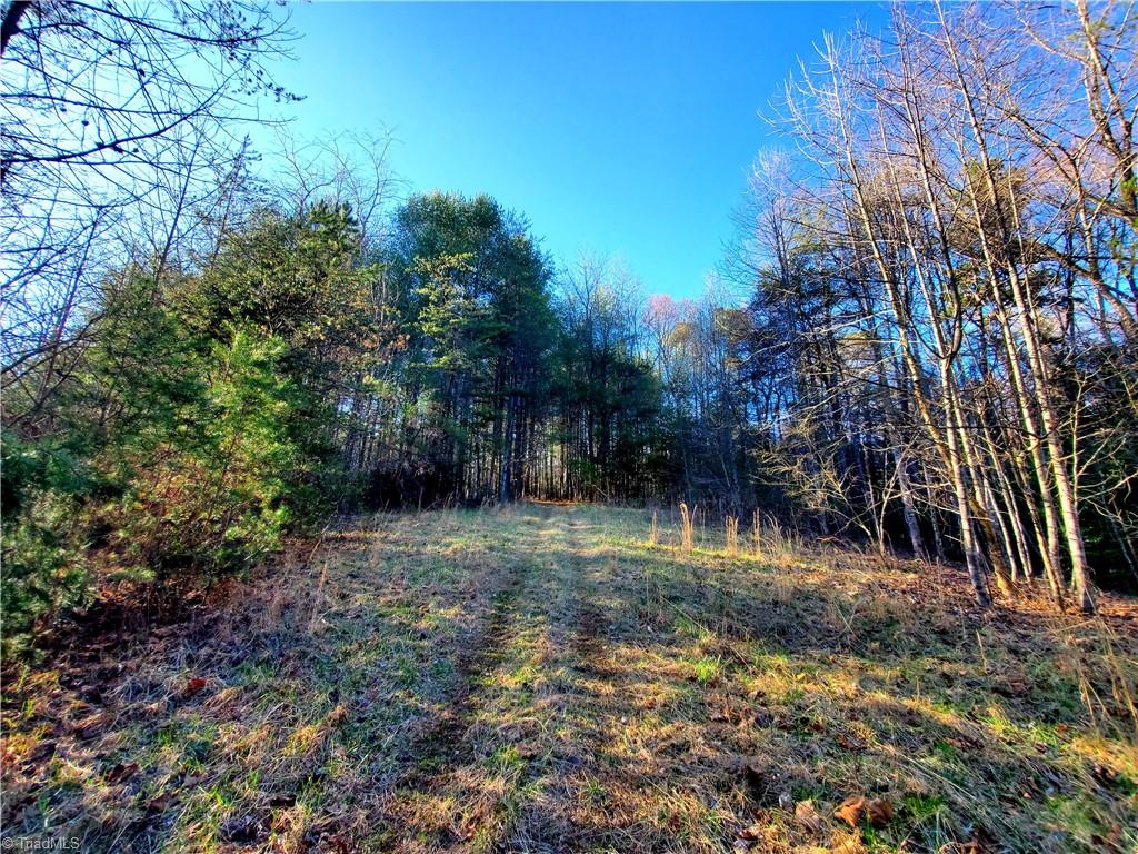 1373 Fisher Valley Road Dobson, NC 27017 - Photo 24 of 44 Gallery Image 24