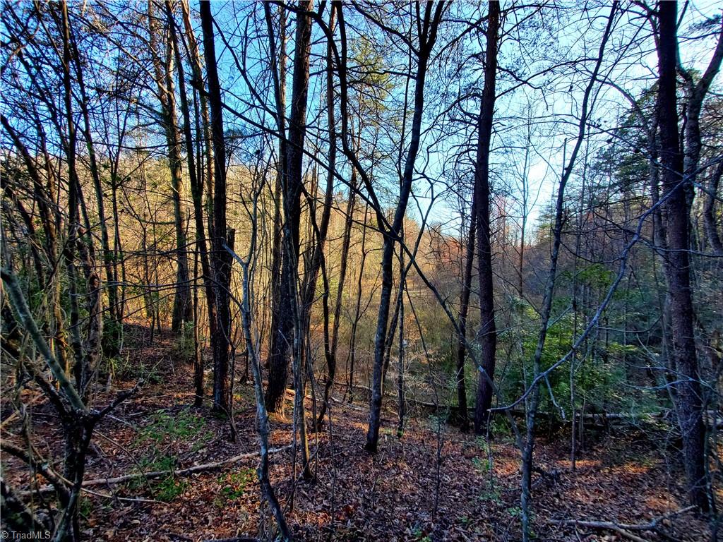 1373 Fisher Valley Road Dobson, NC 27017 - Photo 25 of 44 Gallery Image 25