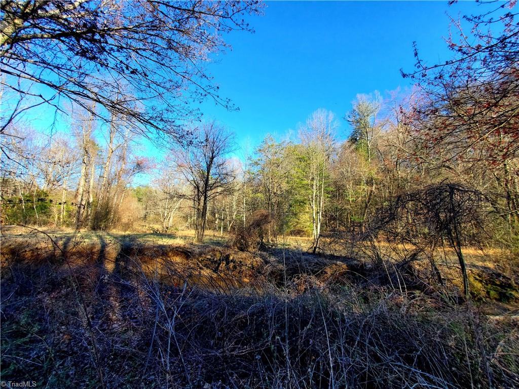 1373 Fisher Valley Road Dobson, NC 27017 - Photo 26 of 44 Gallery Image 26
