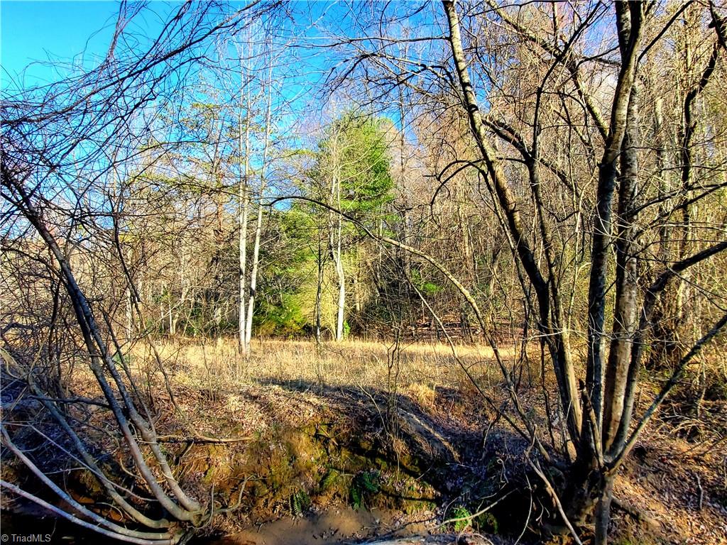 1373 Fisher Valley Road Dobson, NC 27017 - Photo 27 of 44 Gallery Image 27