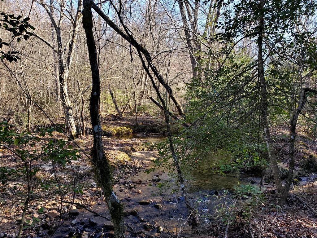 1373 Fisher Valley Road Dobson, NC 27017 - Photo 28 of 44 Gallery Image 28