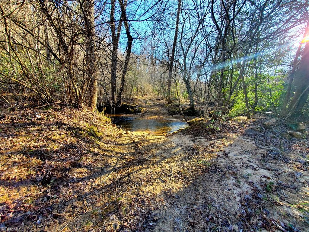 1373 Fisher Valley Road Dobson, NC 27017 - Photo 29 of 44 Gallery Image 29