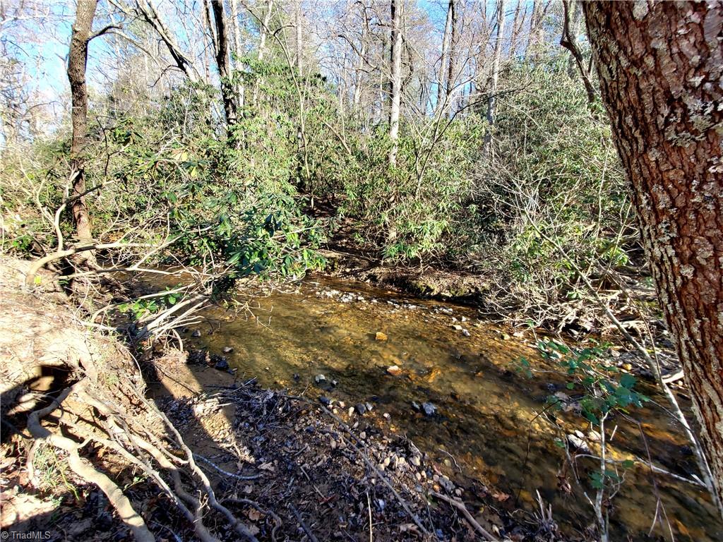 1373 Fisher Valley Road Dobson, NC 27017 - Photo 30 of 44 Gallery Image 30