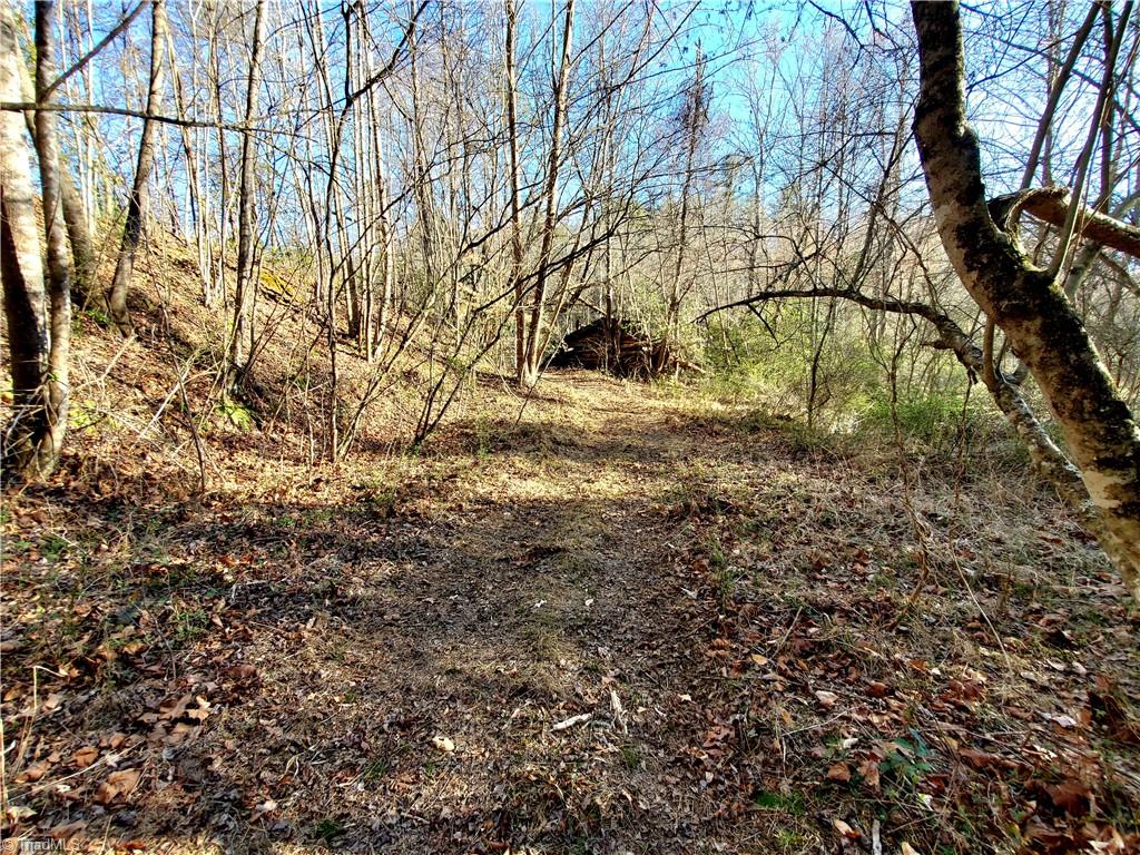 1373 Fisher Valley Road Dobson, NC 27017 - Photo 33 of 44 Gallery Image 33