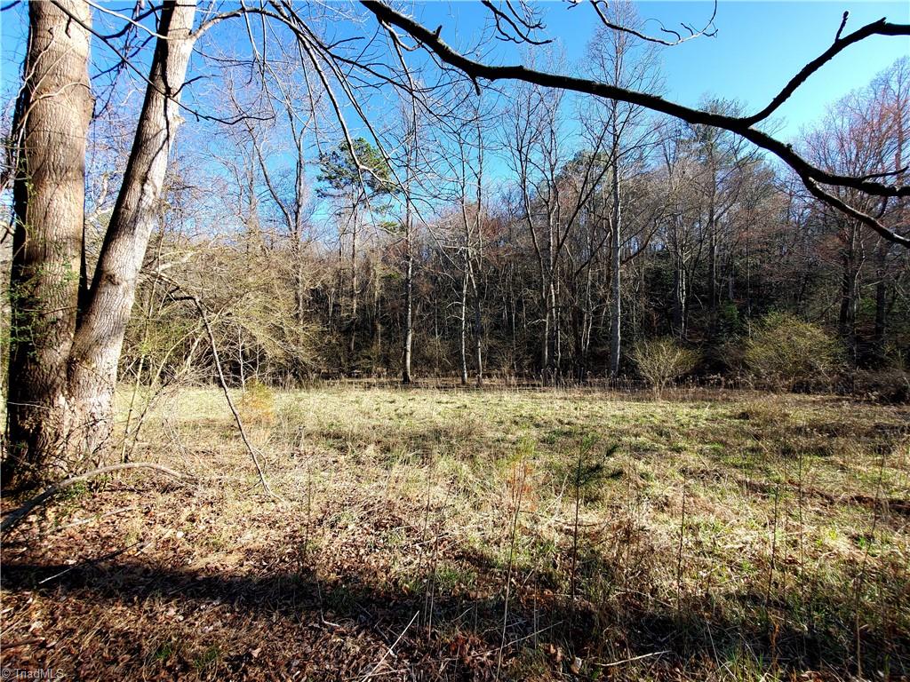 1373 Fisher Valley Road Dobson, NC 27017 - Photo 35 of 44 Gallery Image 35
