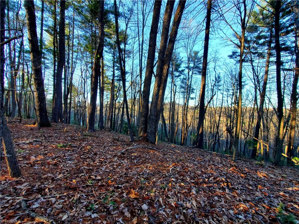 1373 Fisher Valley Road Dobson, NC 27017 - Photo 38 of 44 Gallery Image 38