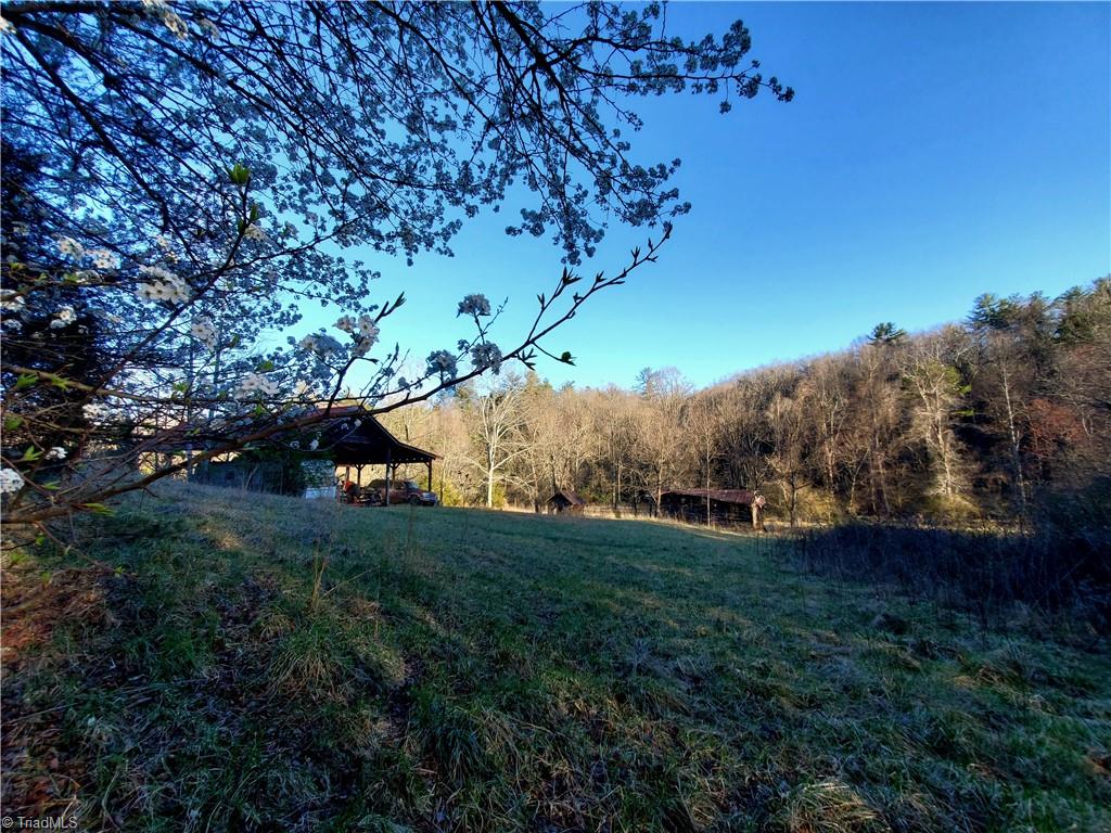 1373 Fisher Valley Road Dobson, NC 27017 - Photo 7 of 44 Gallery Image 7