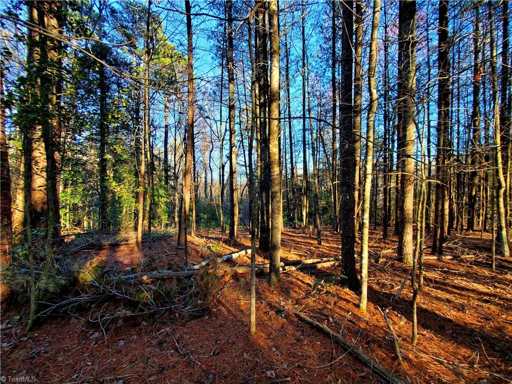 1373 Fisher Valley Road Dobson, NC 27017 - Photo 10 of 44 Gallery Image 10