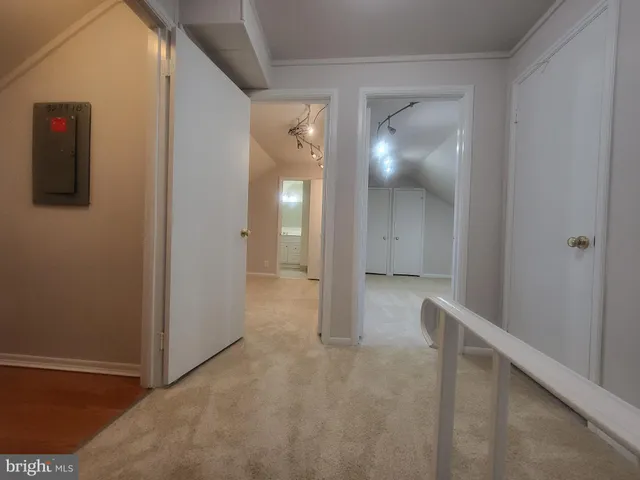 $3,000 | 3279 South Stafford Street, Unit B1, Arlington, VA 22206