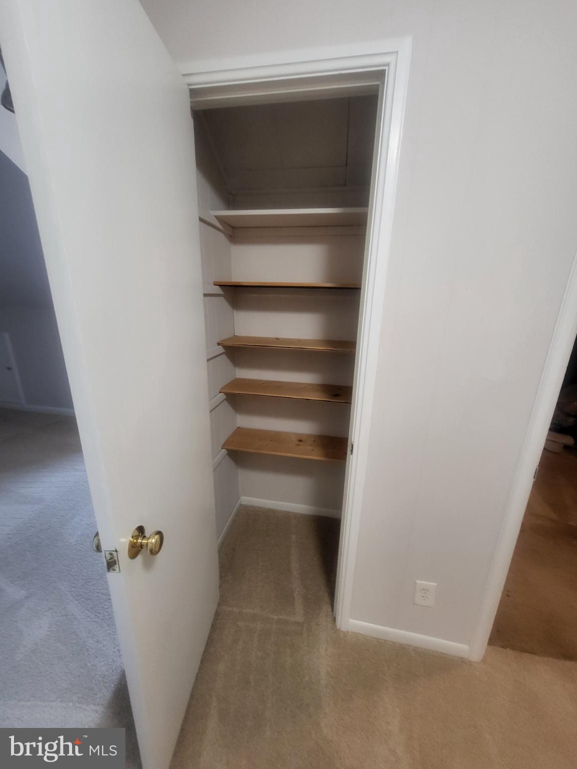 3279 South Stafford Street, Unit B1 Arlington, VA 22206 - Photo 25 of 39 a view of walk in closet with empty racks