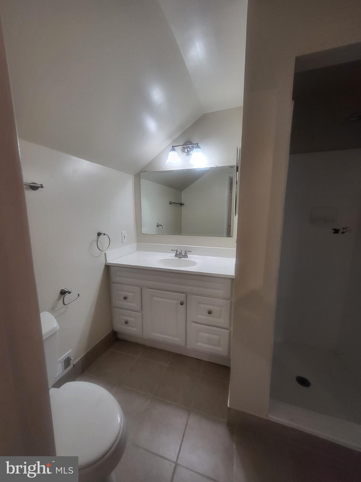 3279 South Stafford Street, Unit B1 Arlington, VA 22206 - Photo 29 of 39 a spacious bathroom with a sink toilet and shower