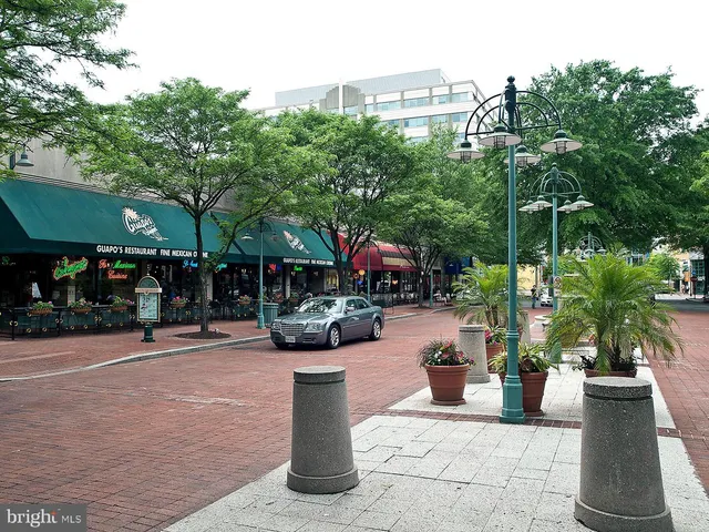 $3,000 | 3279 South Stafford Street, Unit B1, Arlington, VA 22206