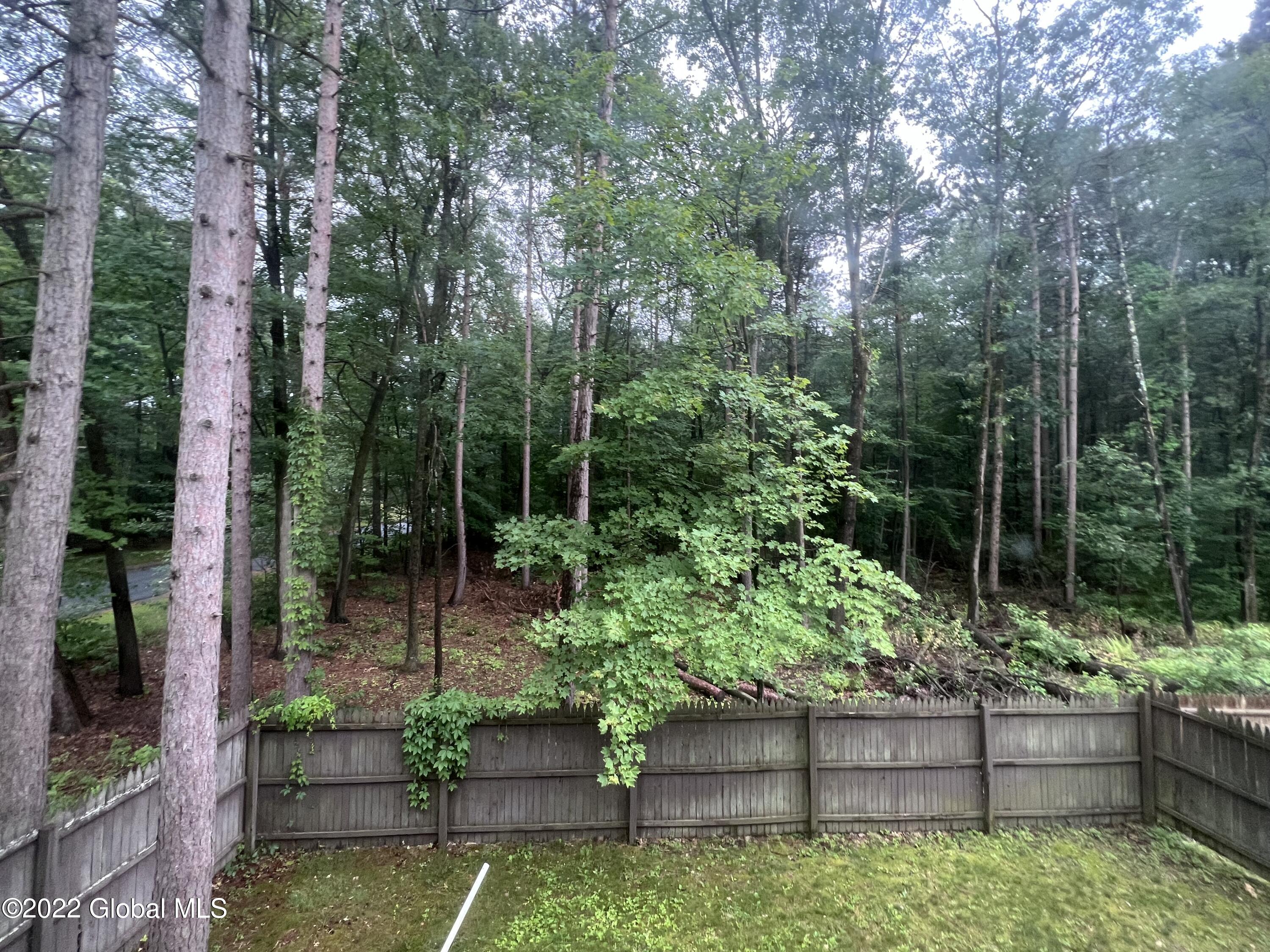 64 Wake Robin Road Malta, NY 12020 - Photo 41 of 57 Photo Jun 27, 10 12 39 AM