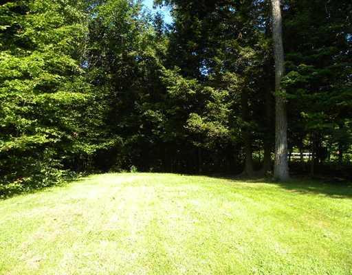 175 Tripp Lake Road Poland, ME 04274 - Photo 6 of 25 Yard/Garden.