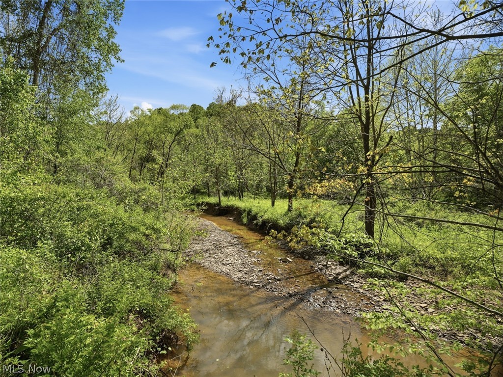 0 Pratts Run Road Woodsfield, OH 43793 - Photo 10 of 24