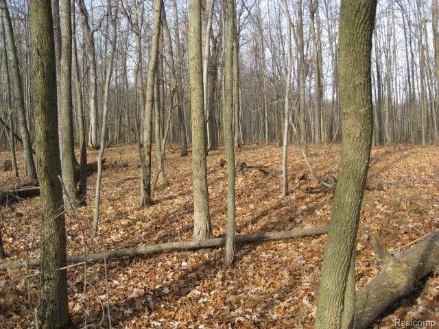 Vacant Germany Road Fenton, MI 48430 - Photo 8 of 10