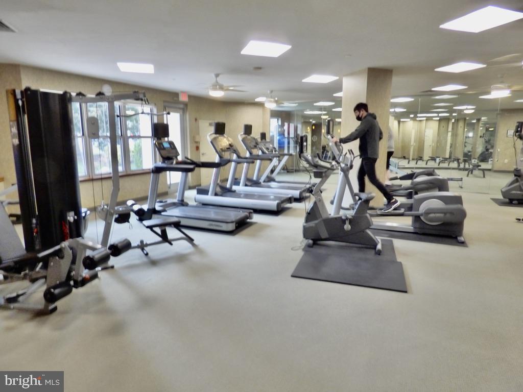 11800 Sunset Hills Road, Unit 118 Reston, VA 20190 - Photo 34 of 52 Modern fitness center in bright space.