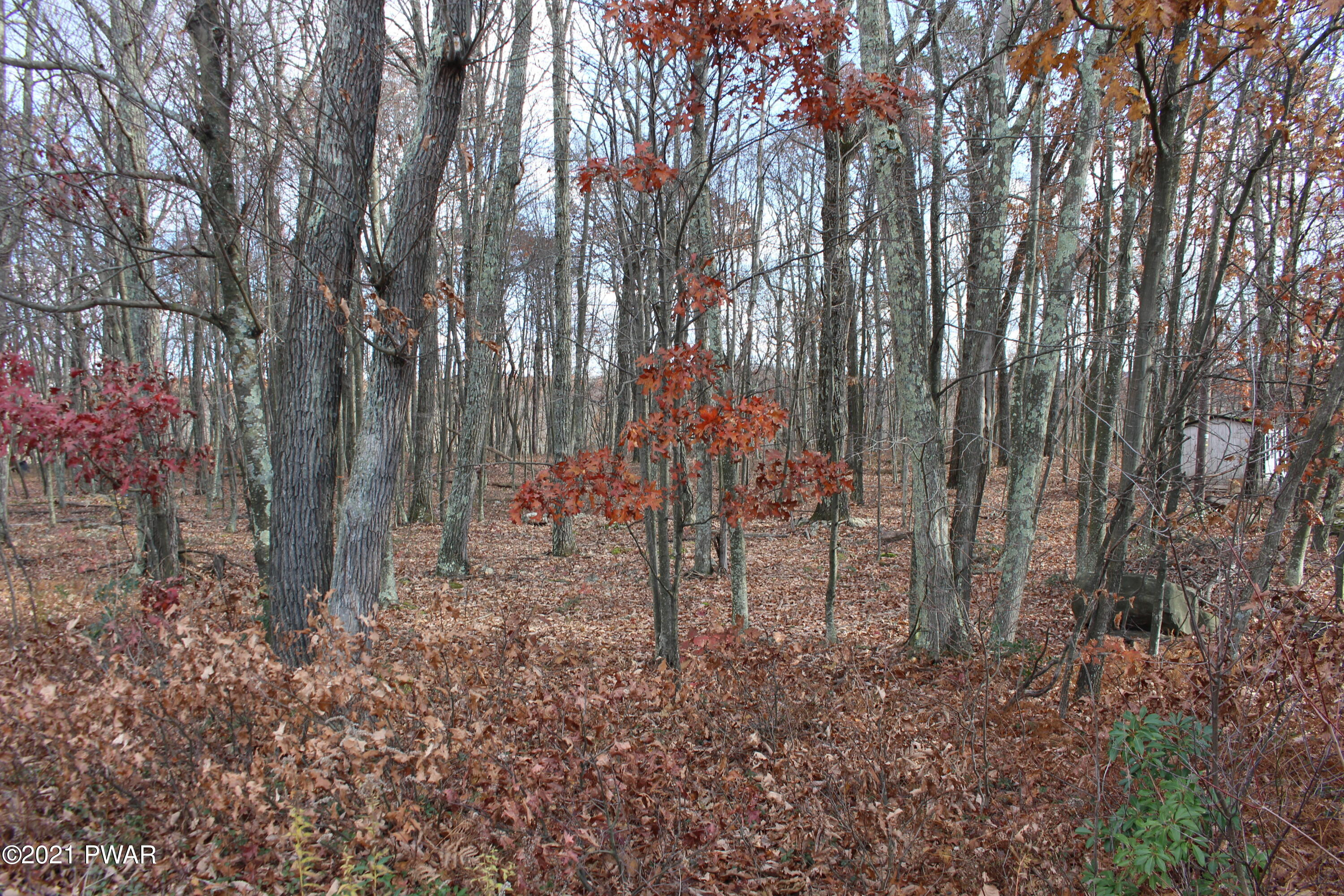 2 Well Road Hawley, PA 18428 - Photo 2 of 6
