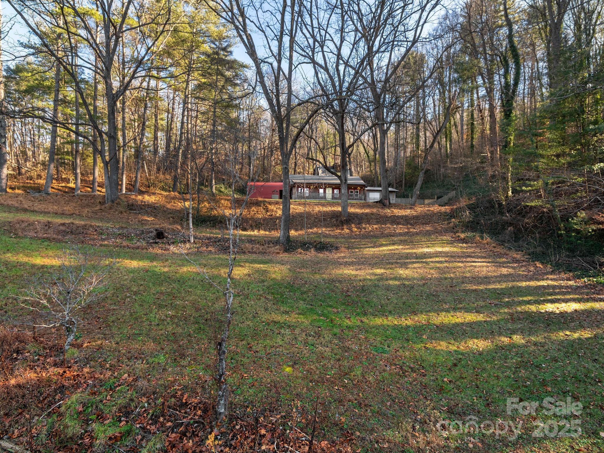 32 Saunooke Road Asheville, NC 28805 - Photo 4 of 17 a view of yard with green space