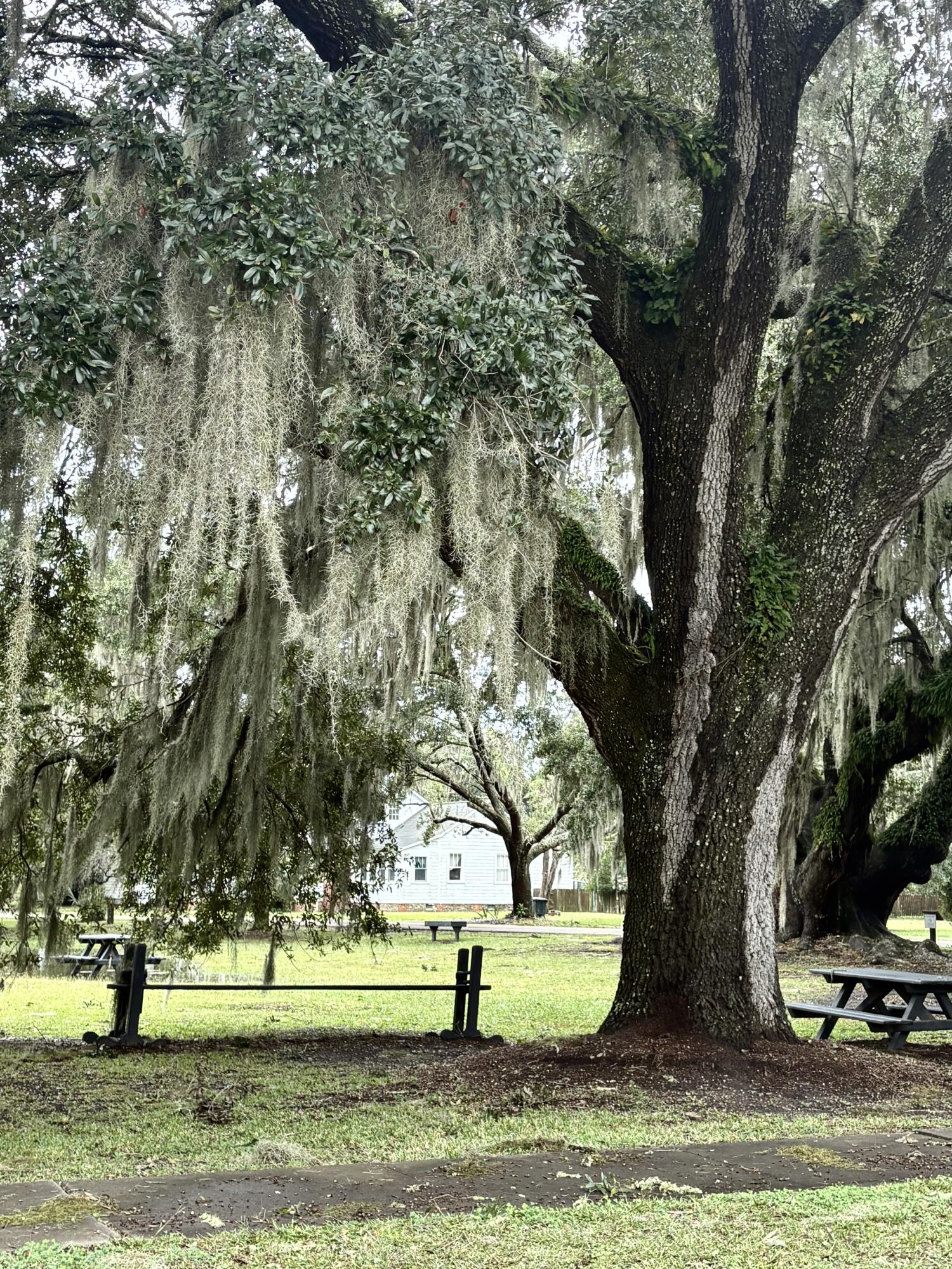10088 Hercules Road McClellanville, SC 29458 - Photo 46 of 49 IMG_0763