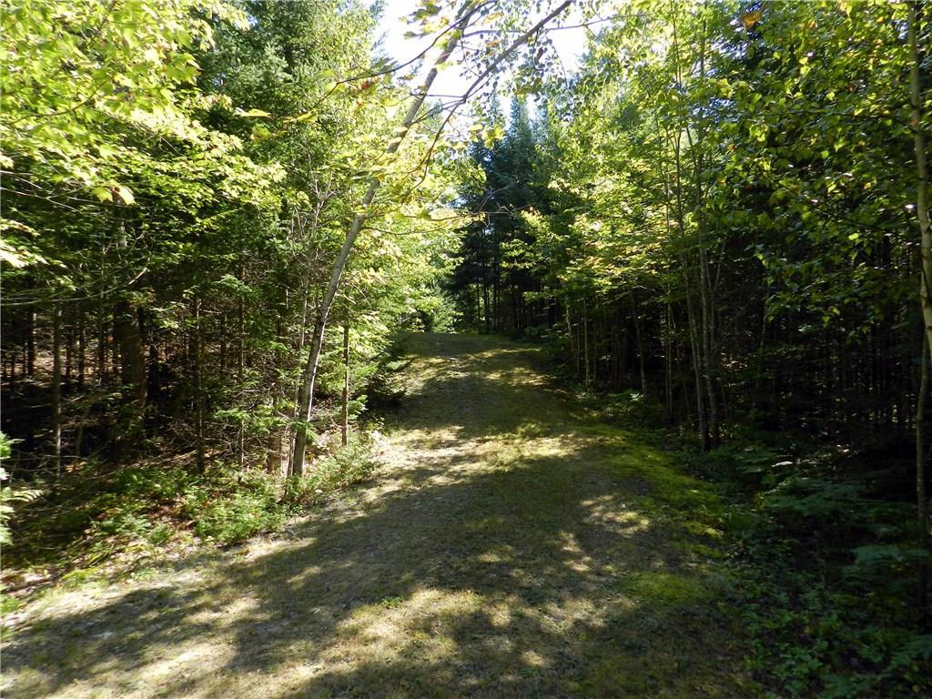 12 Berry Pit Road Hudson, ME 04449 - Photo 7 of 24 Photo