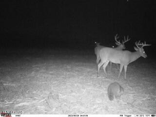 Clayton Marks, MS 38646 - Photo 12 of 19 Photo Aug 19 2024, 10 10 03 PM (1)