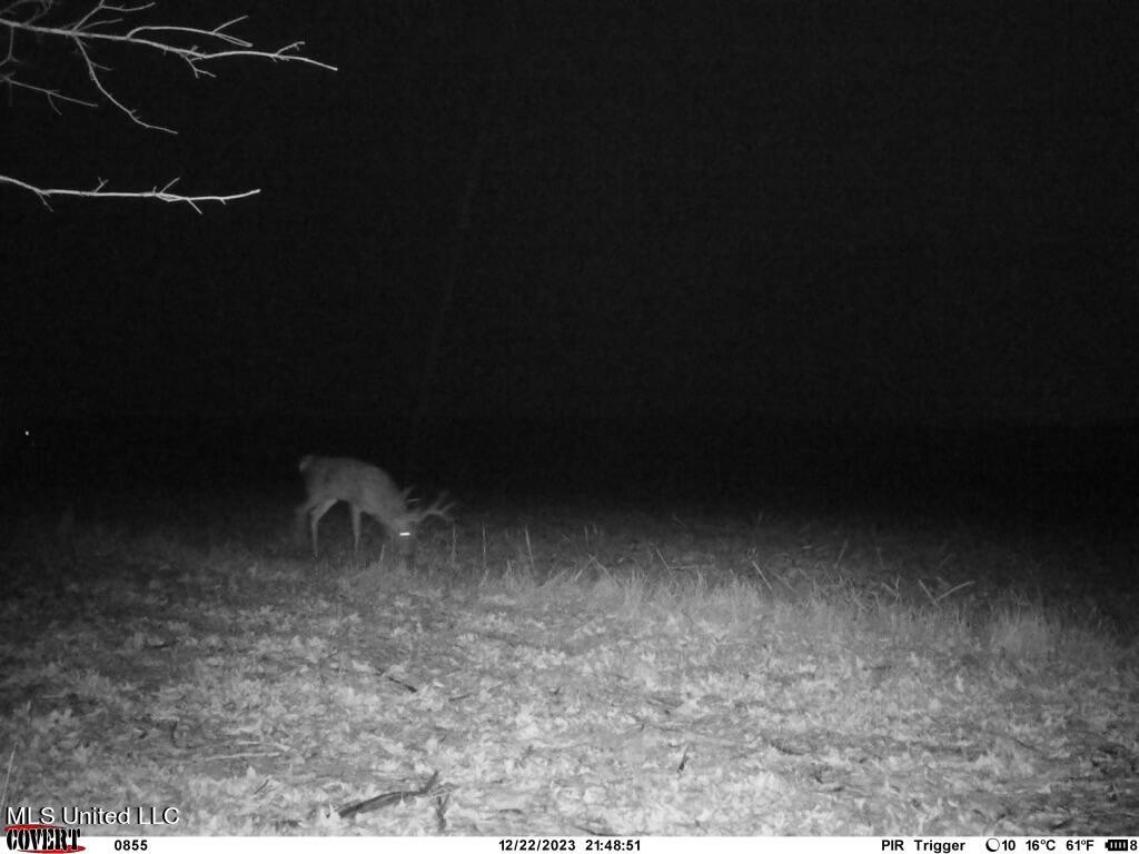 Clayton Marks, MS 38646 - Photo 17 of 19 Photo Aug 19 2024, 10 10 03 PM (4)