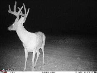 Clayton Marks, MS 38646 - Photo 18 of 19 Photo Aug 19 2024, 10 10 03 PM