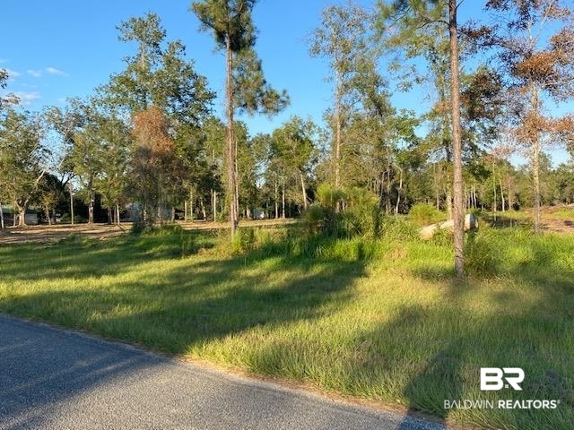 16108 Old Pierce Road Fairhope, AL 36532 - Photo 11 of 14