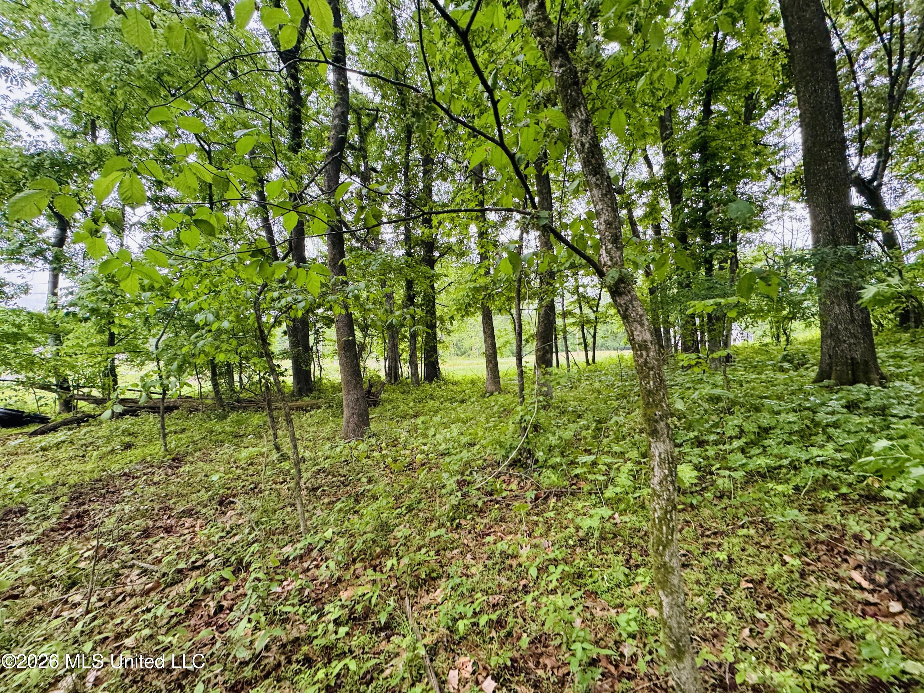 Kimber Cove Hernando, MS 38632 - Photo 1 of 10 FullSizeRender