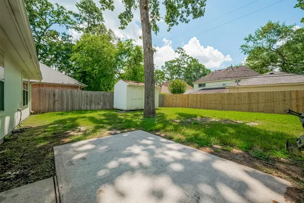 a view of a yard with plants and large tree