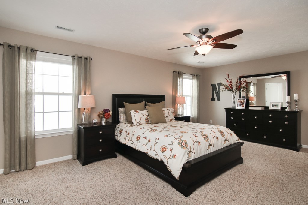 8813 Harvest Ridge Way North Ridgeville, OH 44039 - Photo 20 of 35 Gallery Image 20