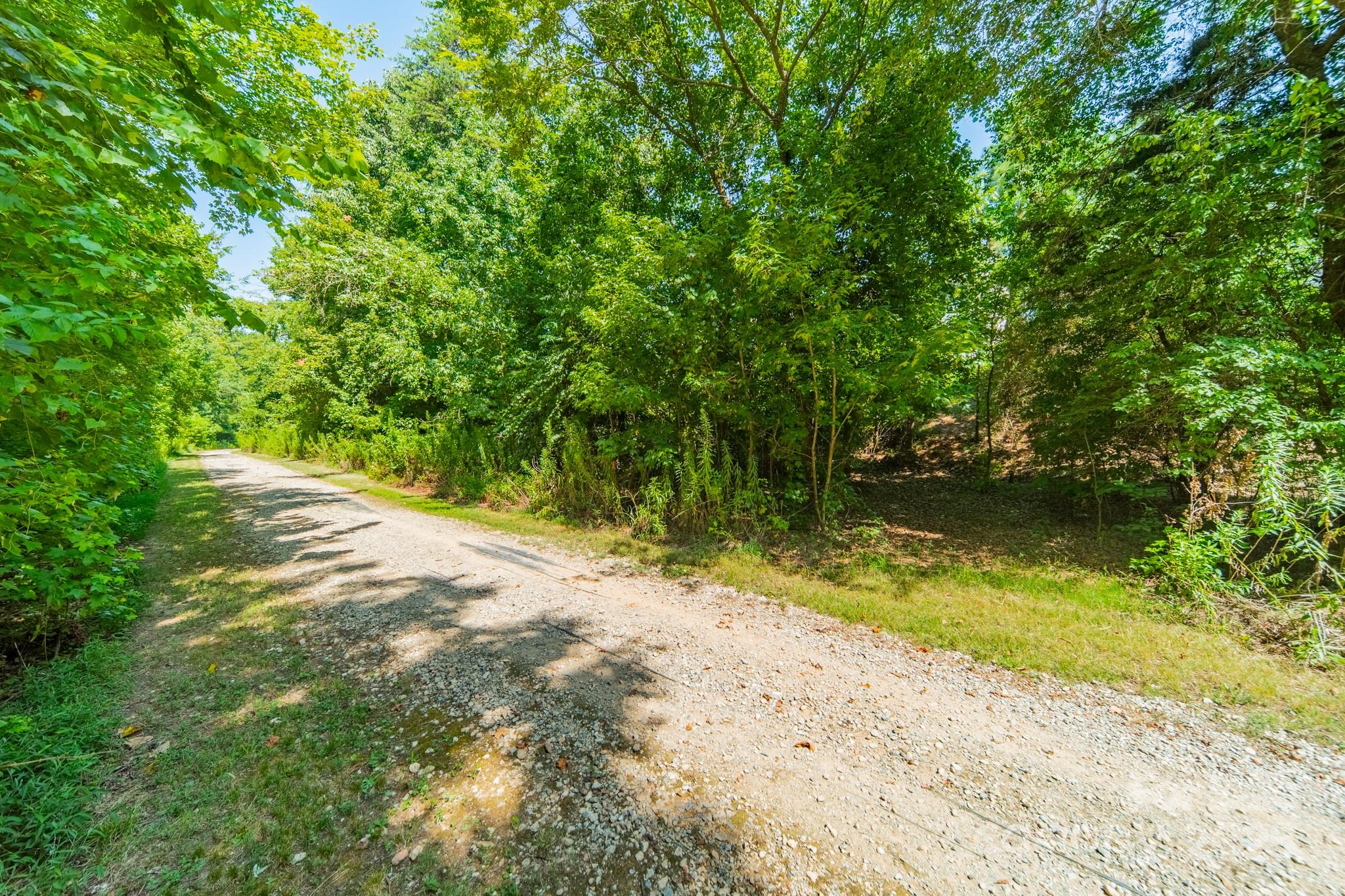 9229 Inverness Bay Road Charlotte, NC 28278 - Photo 38 of 41 a view of a yard with a tree