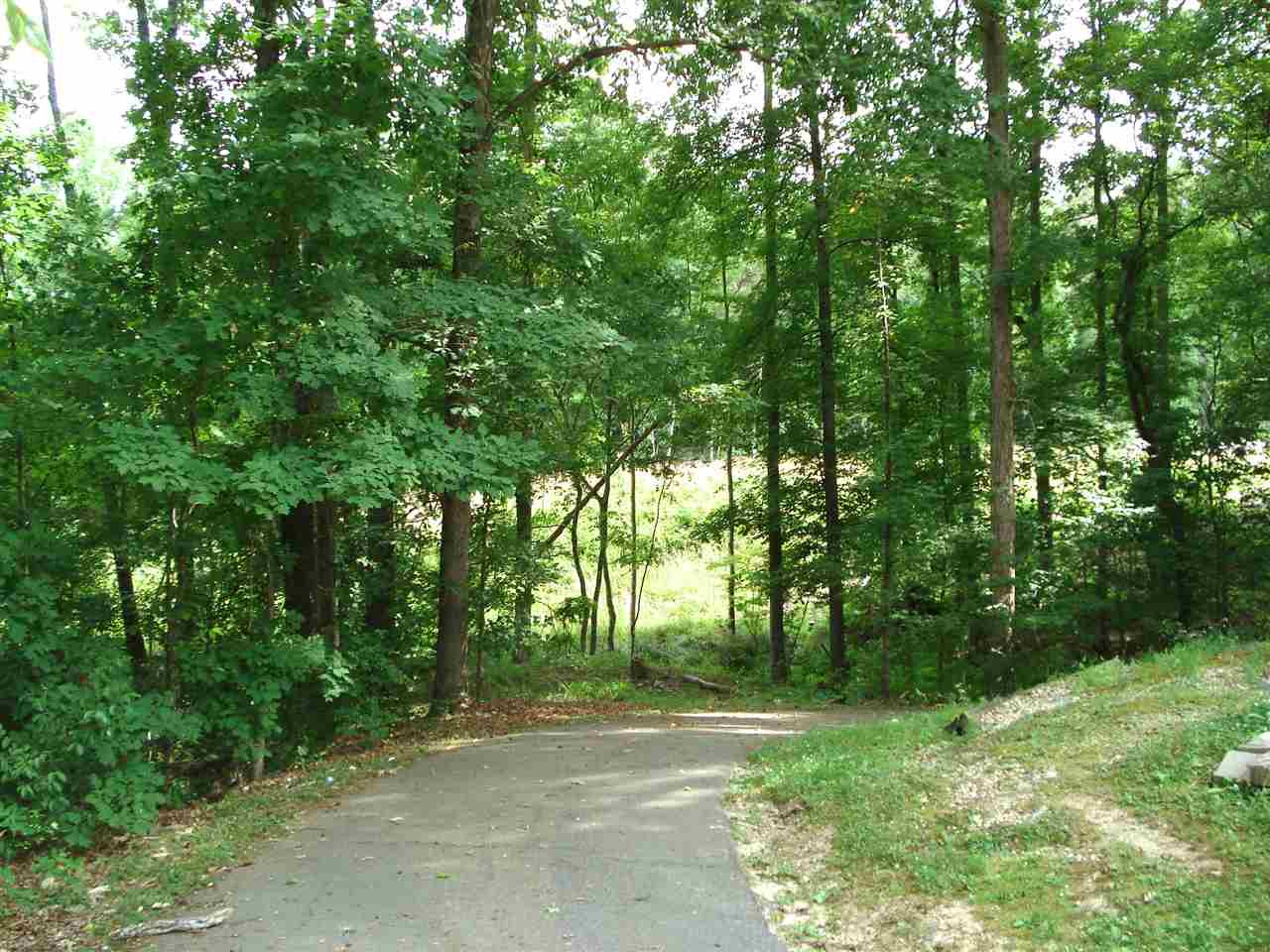 4330 Stone Station Road Roebuck, SC 29376 - Photo 3 of 22