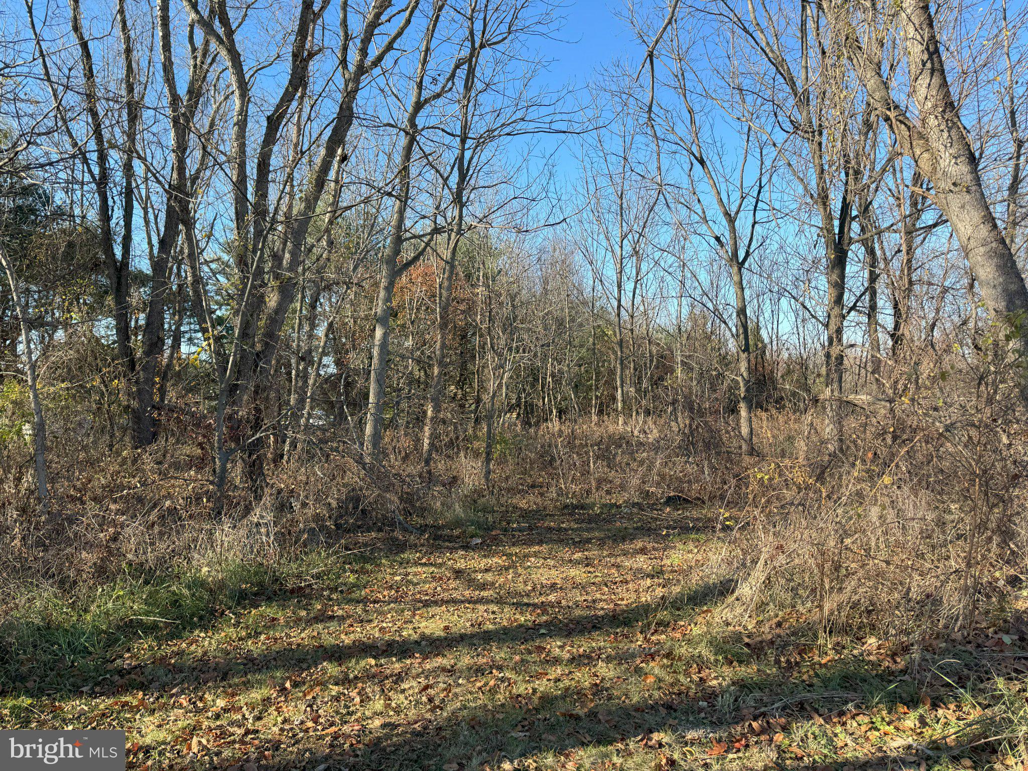 Salem Road Burlington, NJ 08016 - Photo 8 of 15 a view of a yard