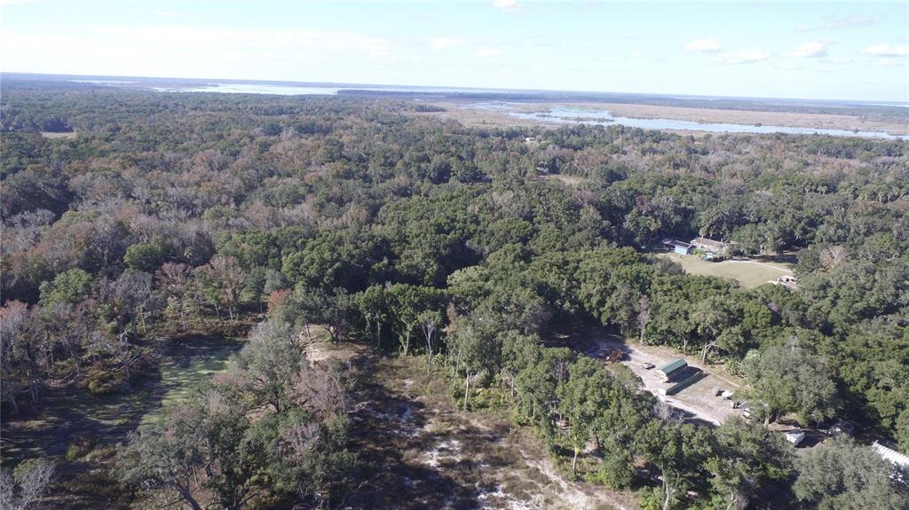 301 Tbd Citra, FL 32113 - Photo 9 of 34