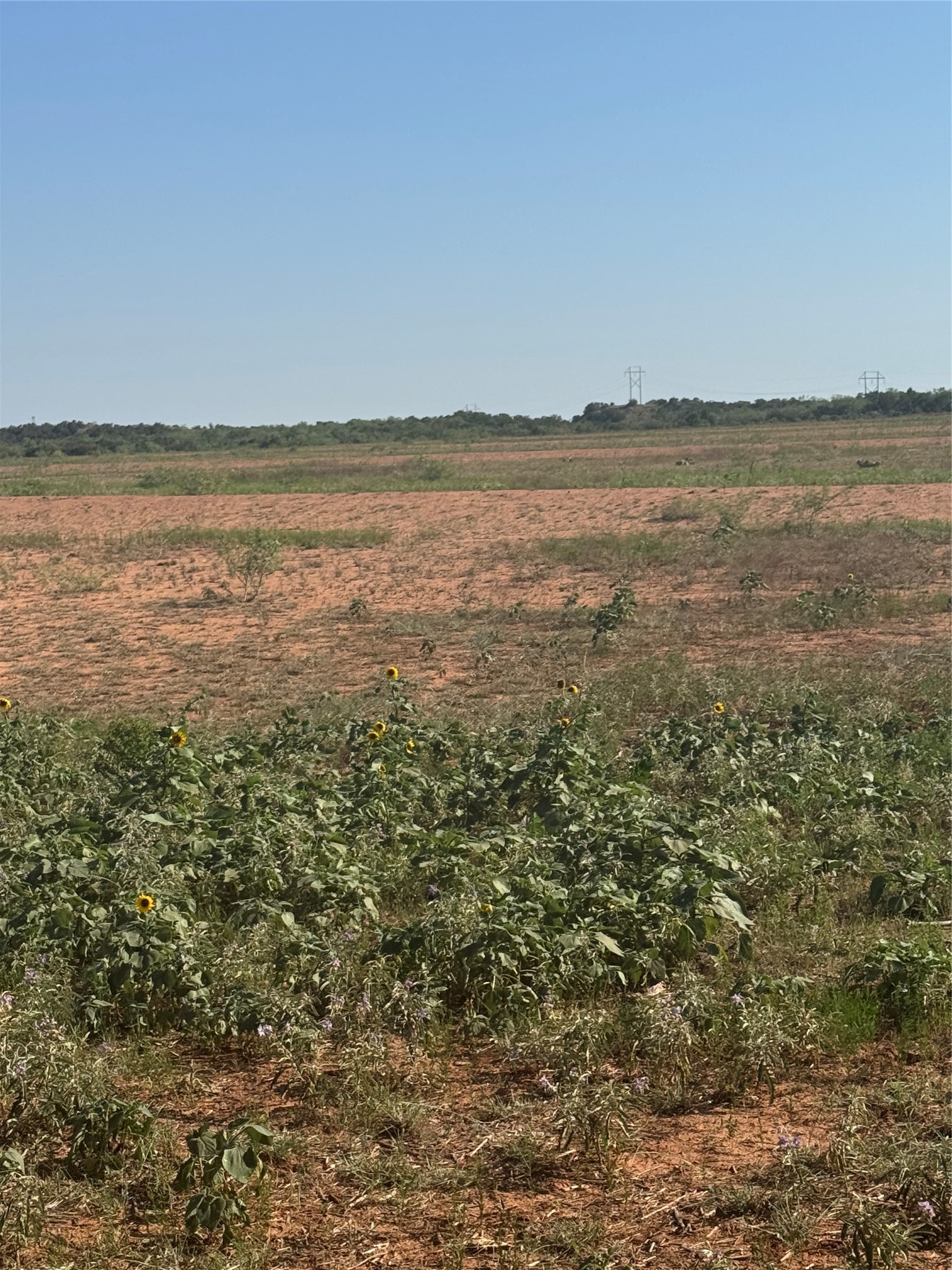 Nka Buckle L Road Childress, TX 79201 - Photo 5 of 18