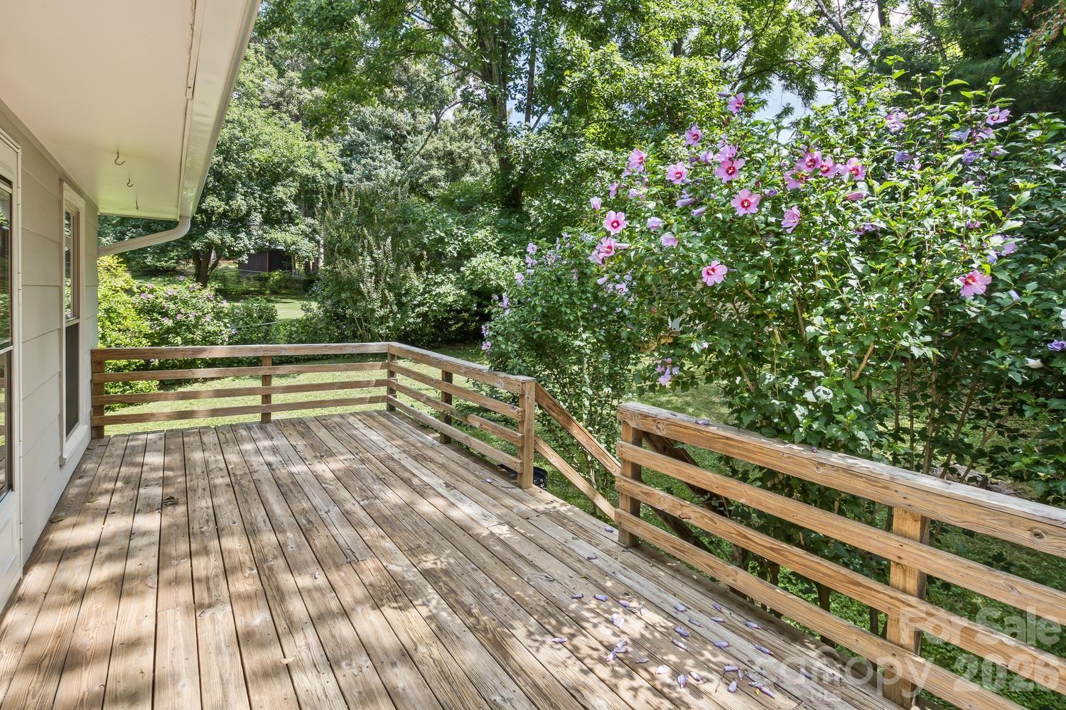 17 Rhododendron Place Asheville, NC 28805 - Photo 32 of 36