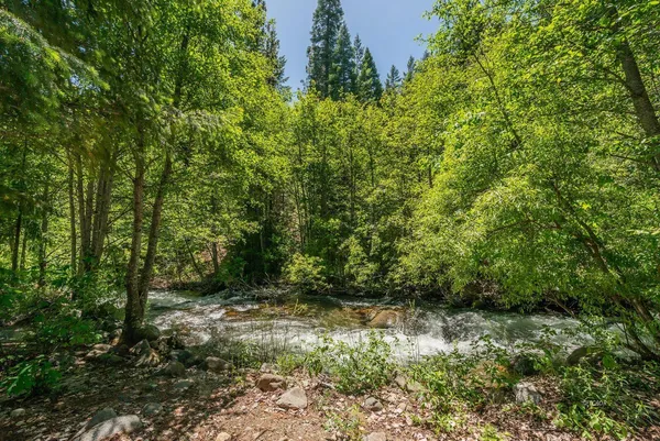 $345,000 | 121-141 Mountain Aire Road, Trinity Center, CA 96091