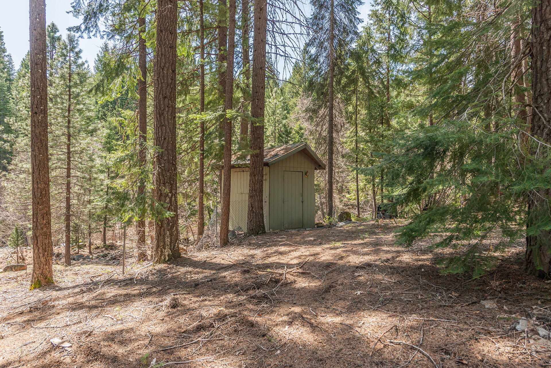 121-141 Mountain Aire Road Trinity Center, CA 96091 - Photo 14 of 34 a backyard of a house with large trees and a barn