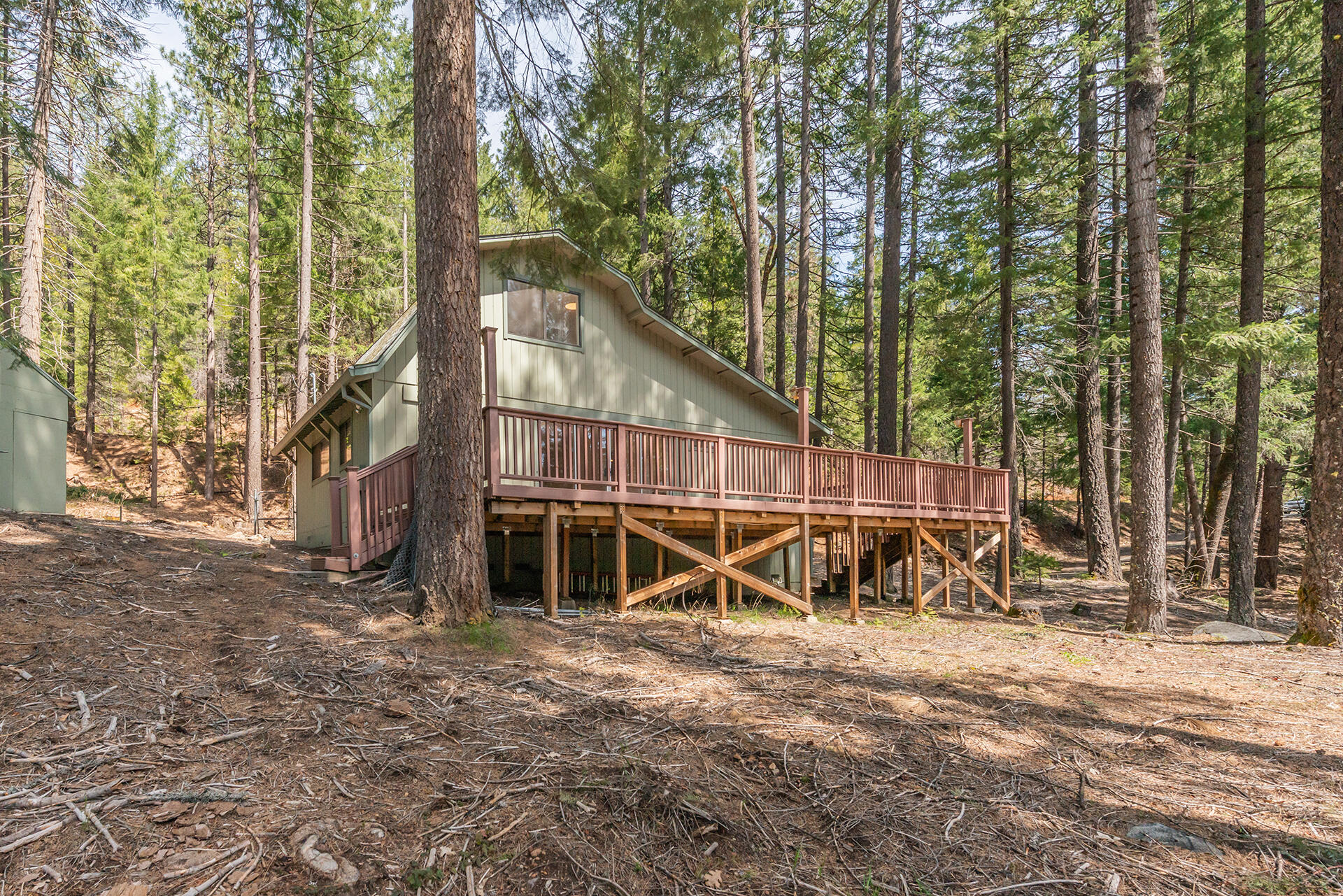 121-141 Mountain Aire Road Trinity Center, CA 96091 - Photo 20 of 34 a view of a wooden deck with large trees