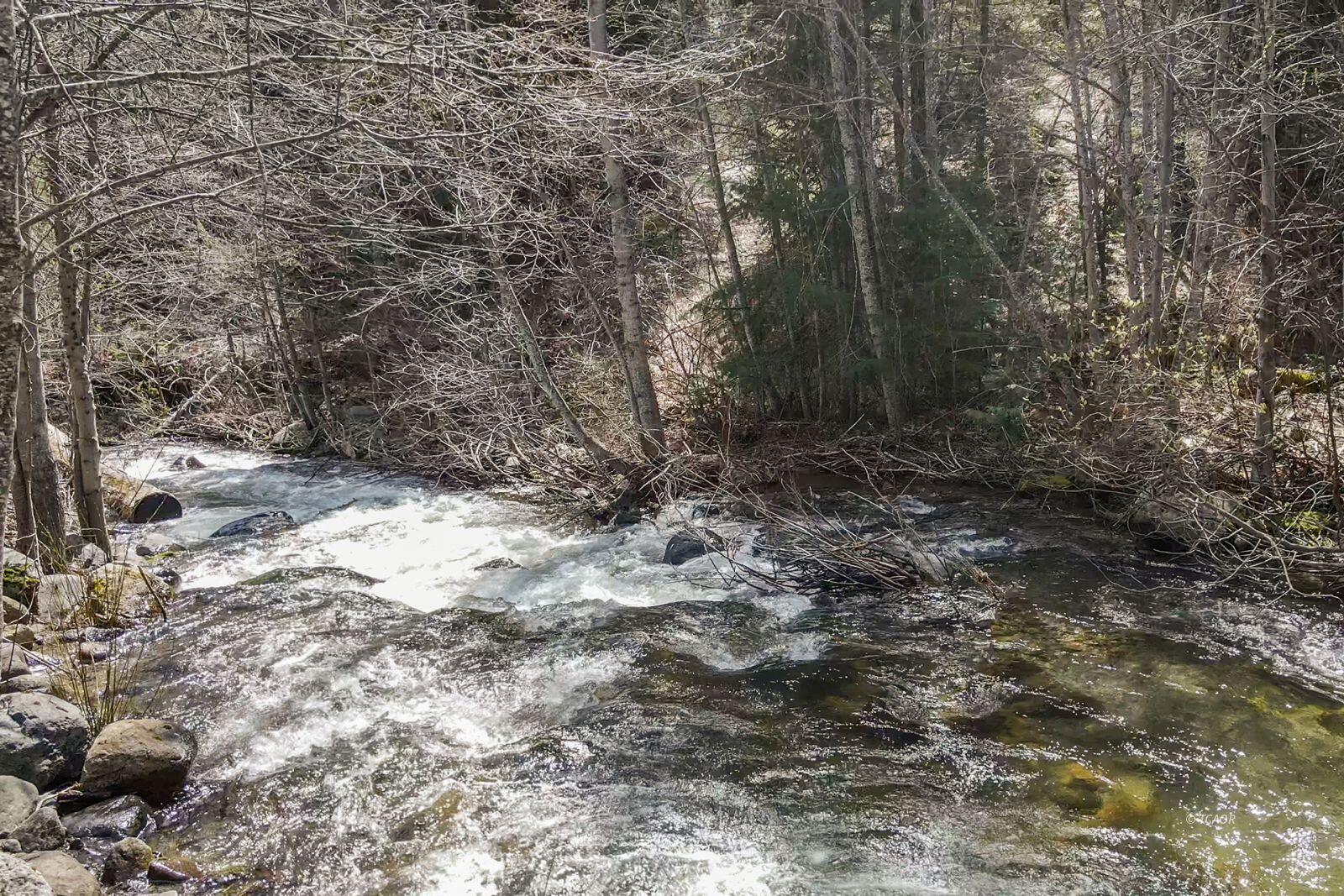 121-141 Mountain Aire Road Trinity Center, CA 96091 - Photo 35 of 51 a view of a yard with a tree