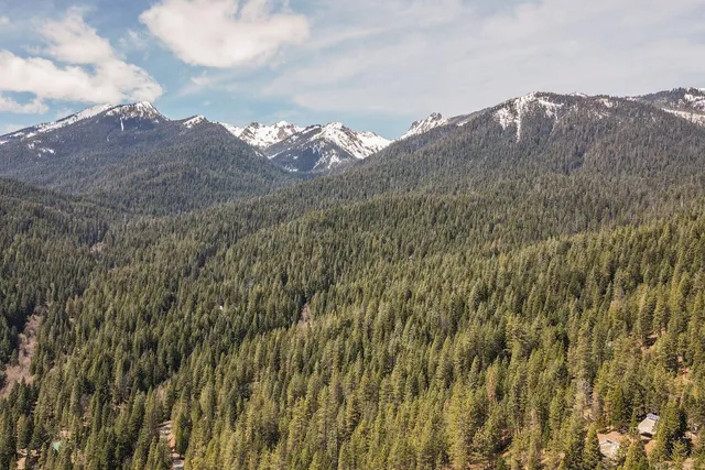 a view of a dry yard with mountains in the background