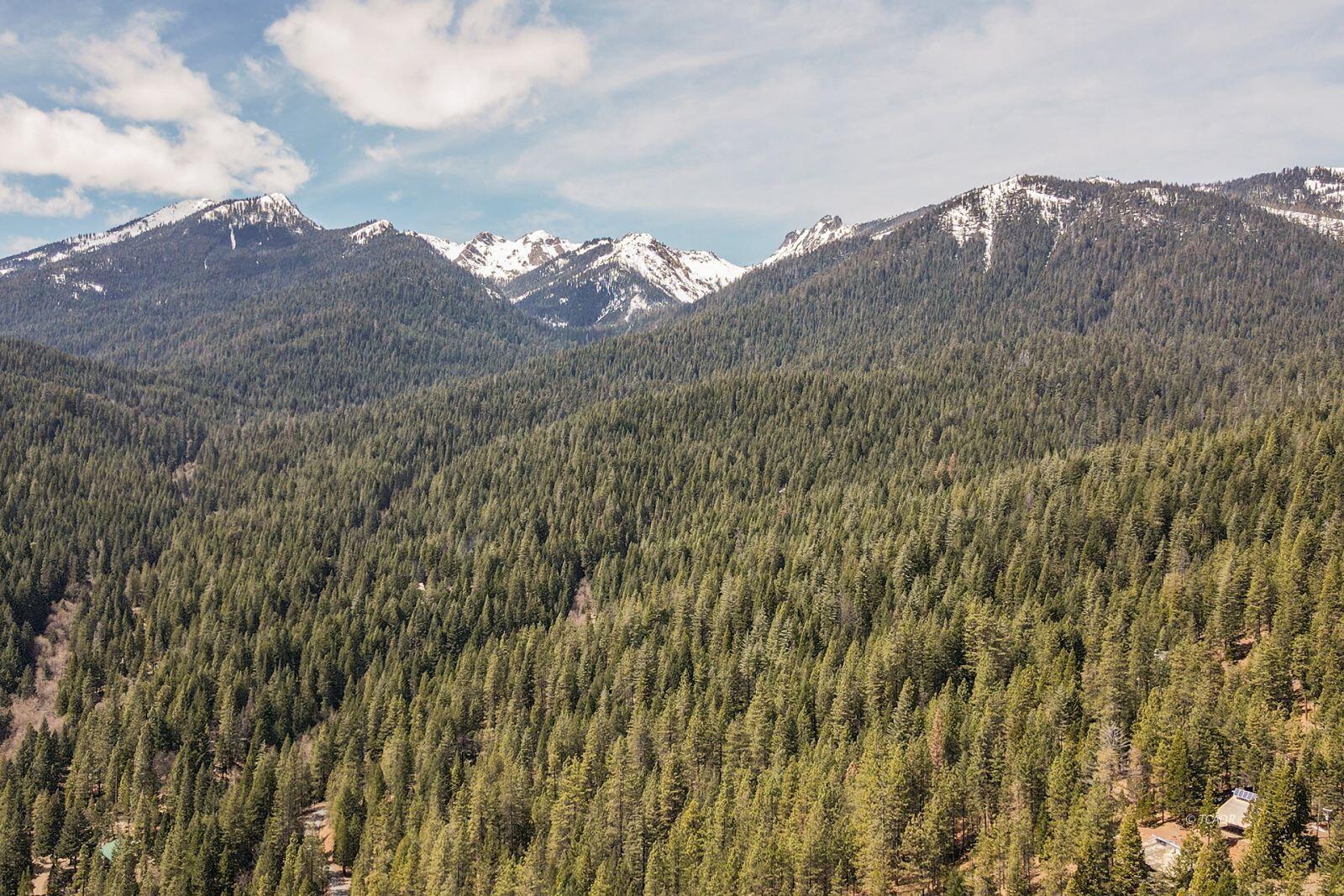 121-141 Mountain Aire Road Trinity Center, CA 96091 - Photo 37 of 51 a view of a dry yard with mountains in the background